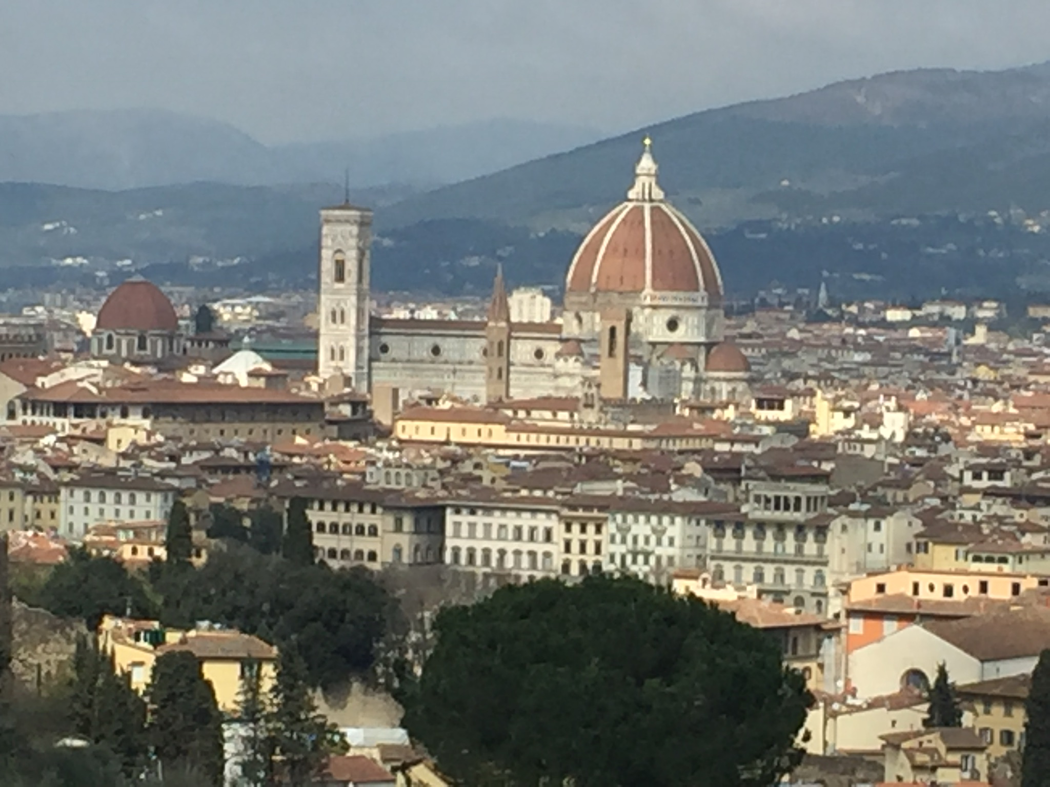 64F1C219-CF8E-4EFA-8BD4-F54CB65CD8F3