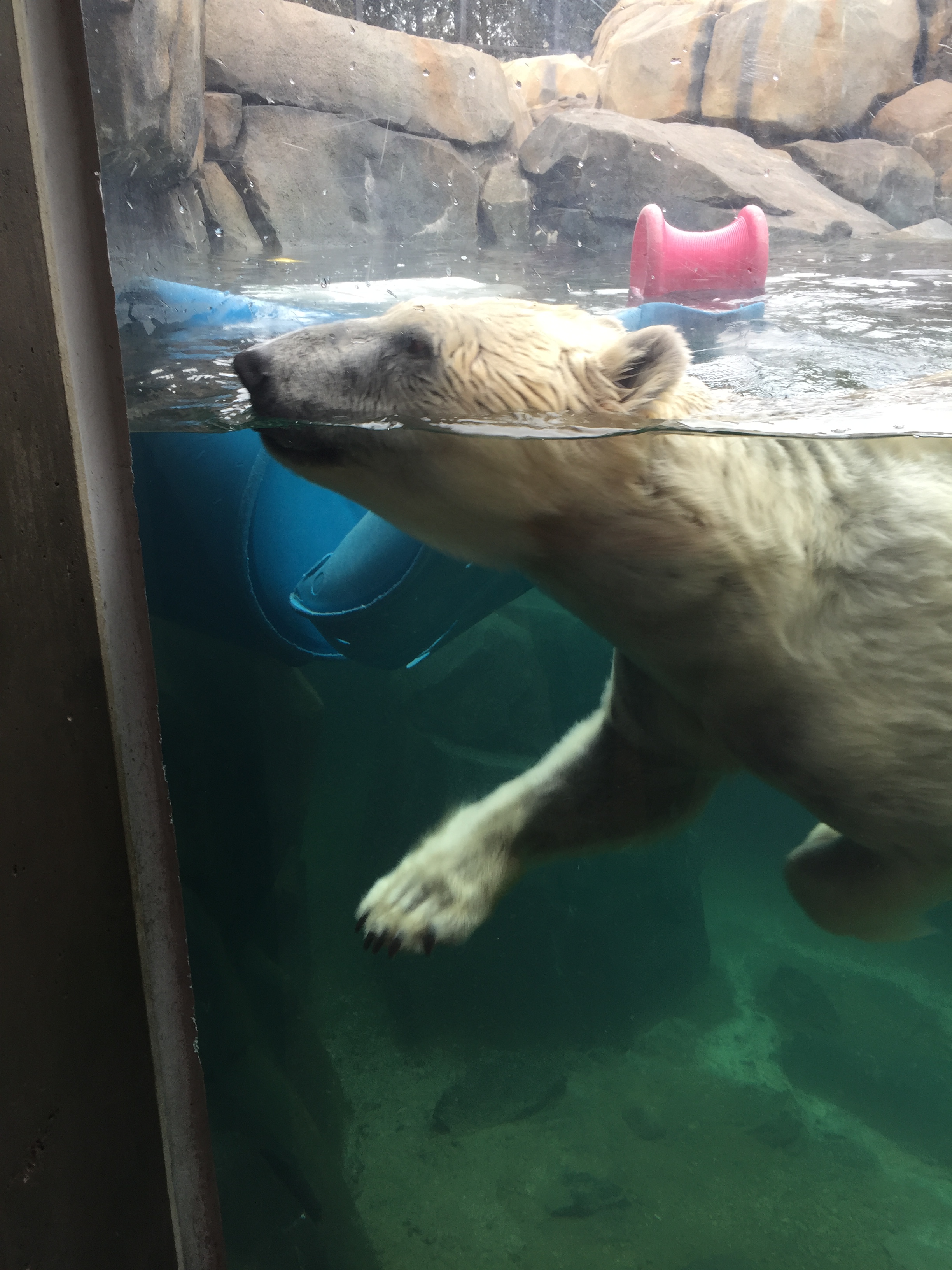 4EDAB912-2017-4E62-BC73-BA2875FD89F2