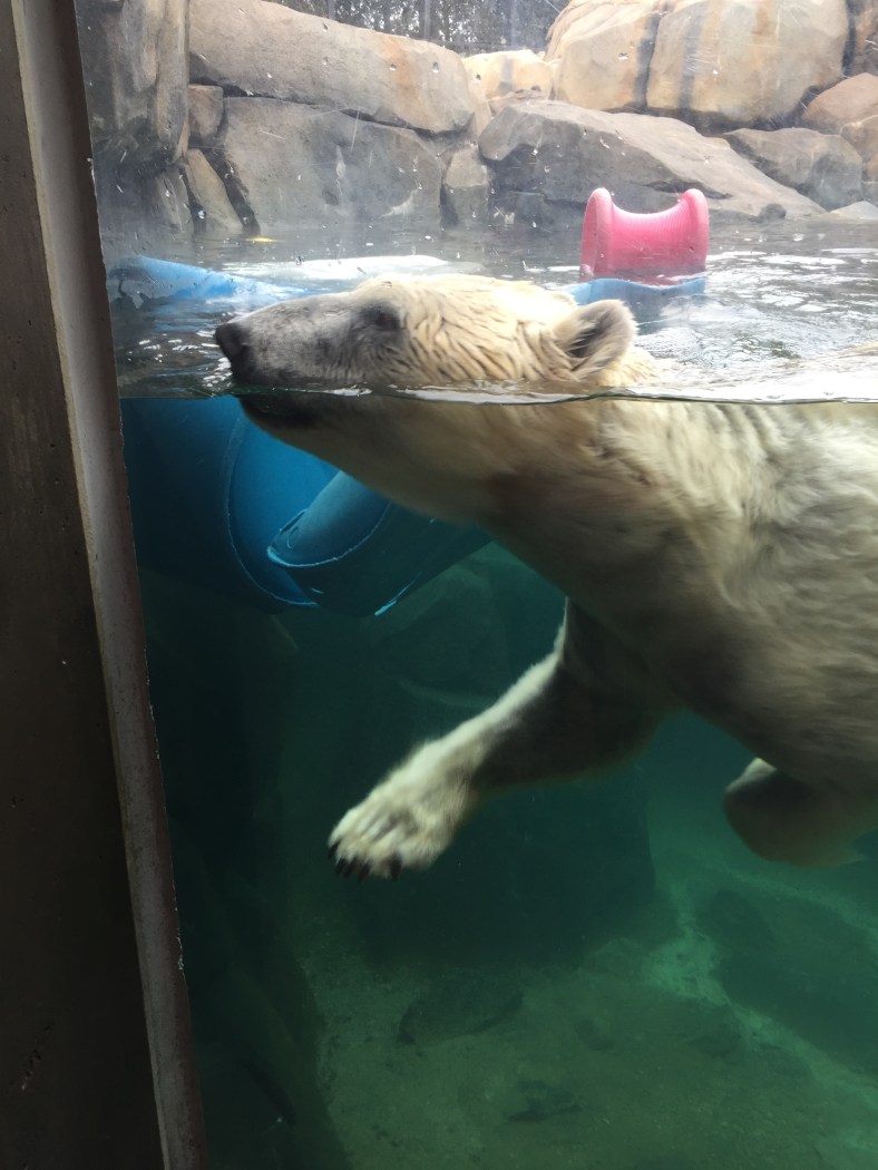 4EDAB912-2017-4E62-BC73-BA2875FD89F2