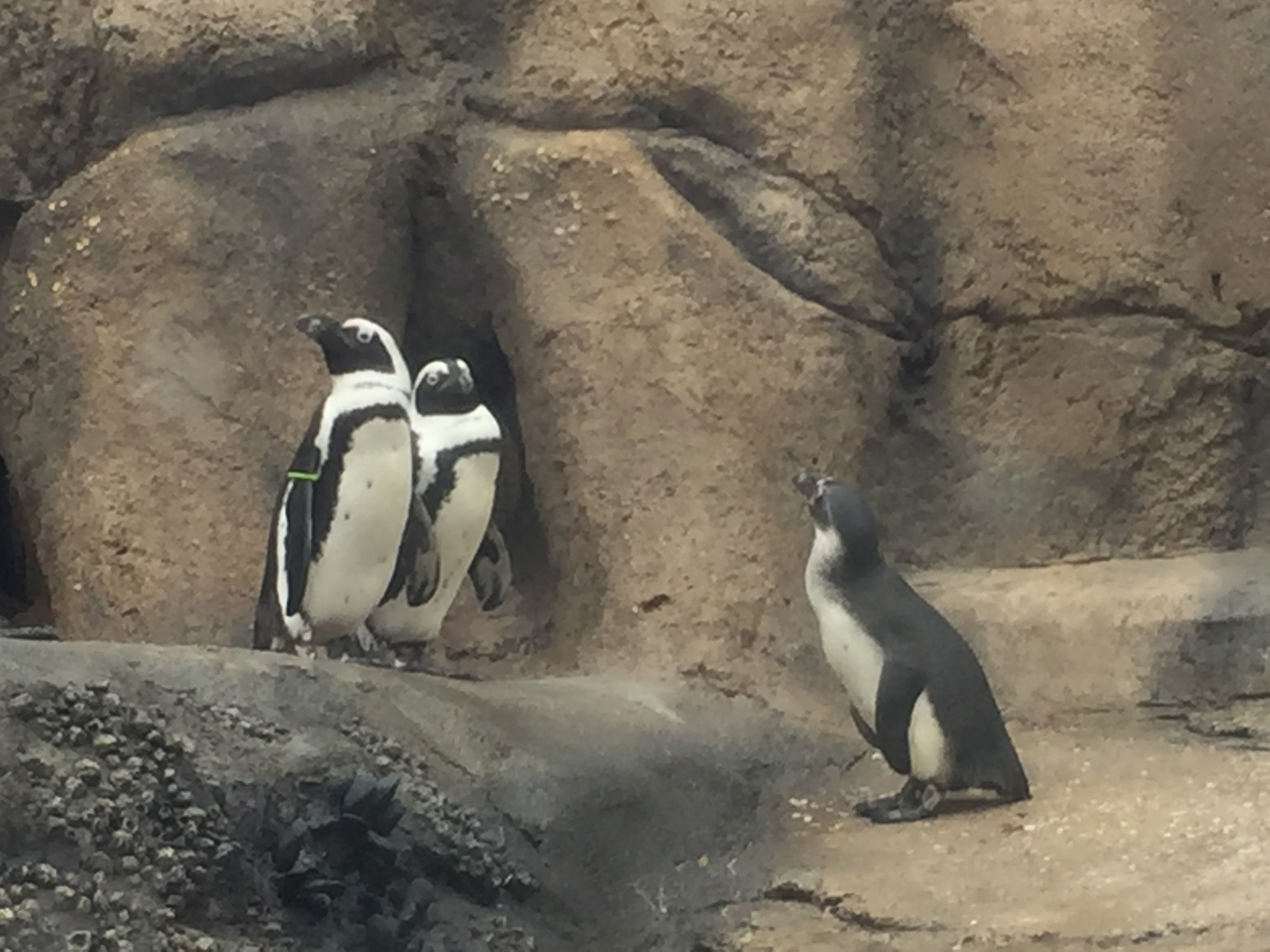 64F5B676-F923-48E3-A5BB-CFB873B74317