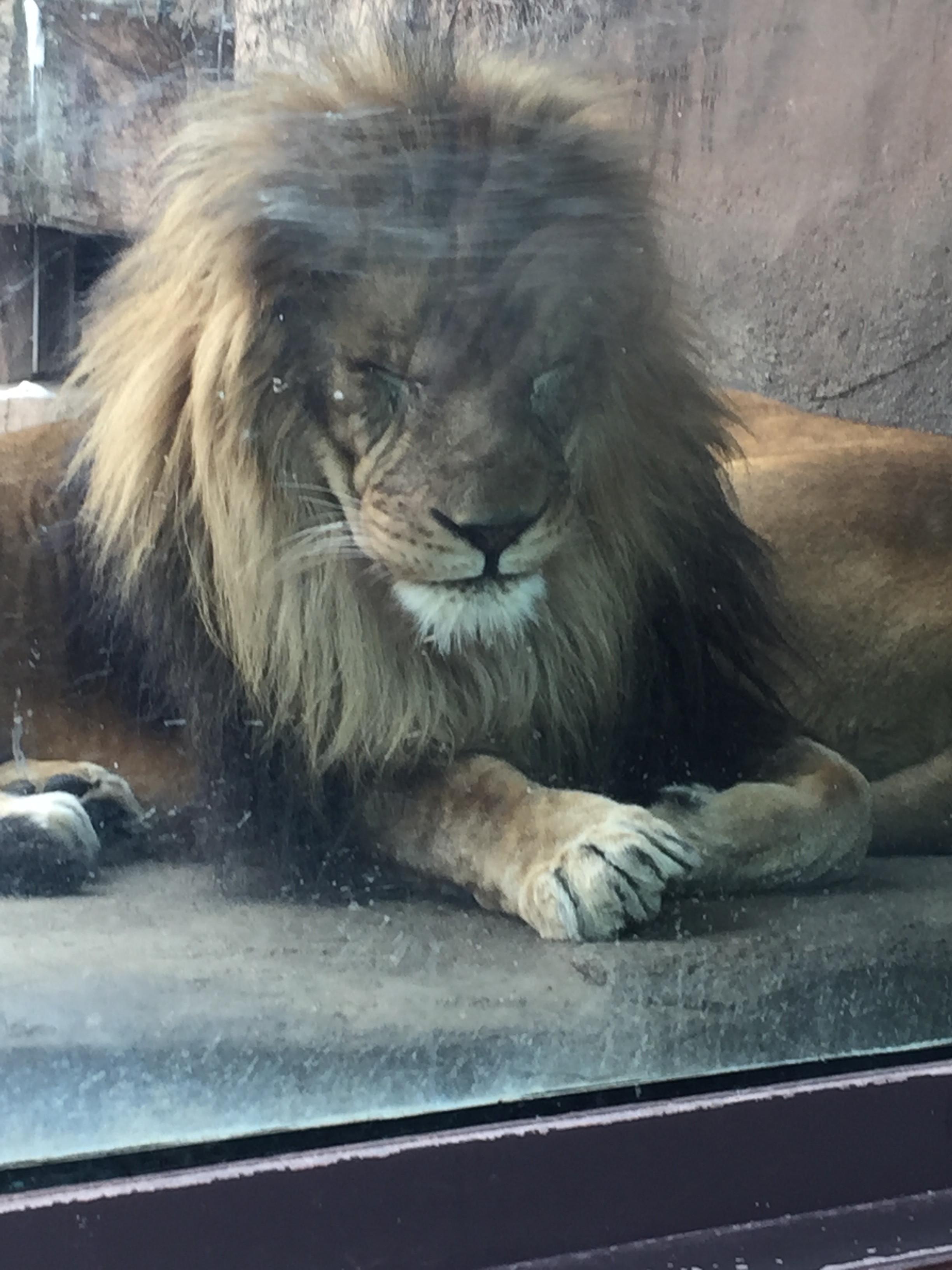 BB4B0532-B5E0-4797-B704-CE41985BB4CB