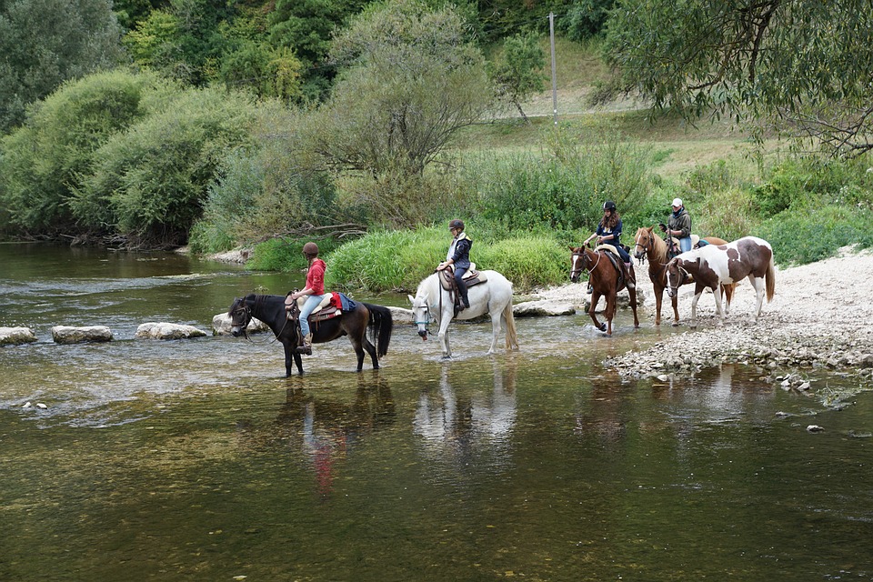 horse riding tour