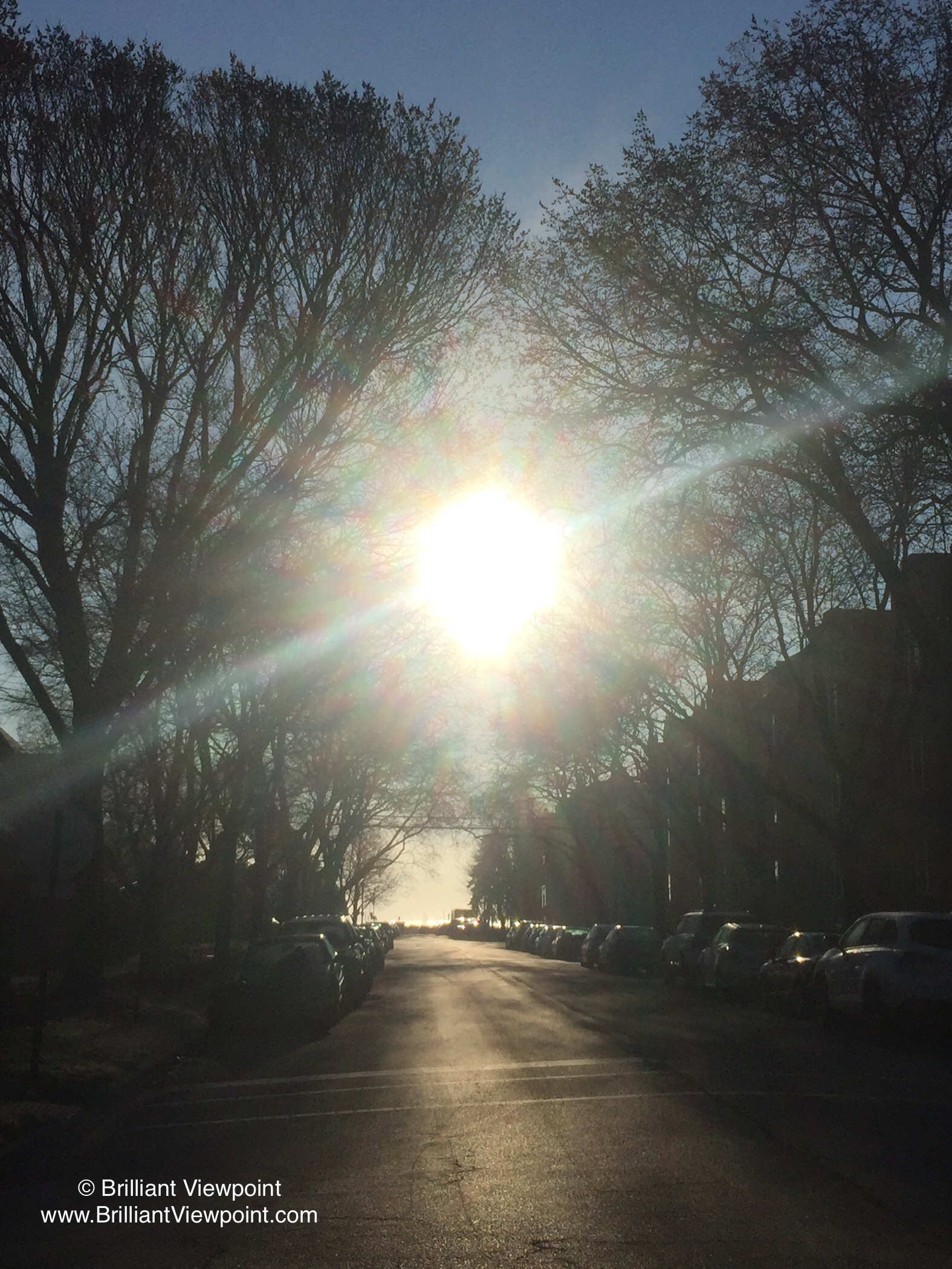 86130B87-3145-449C-9224-4BAFFFAE0332