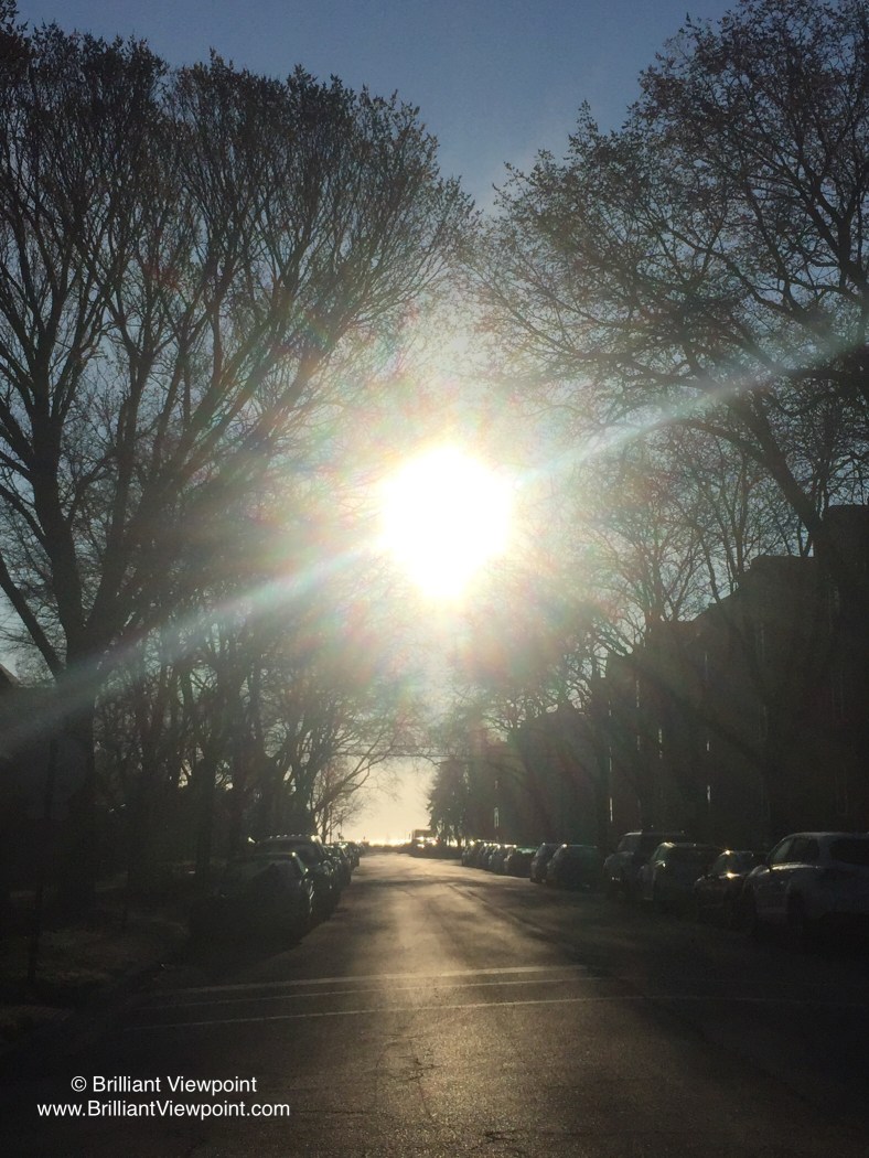 86130B87-3145-449C-9224-4BAFFFAE0332